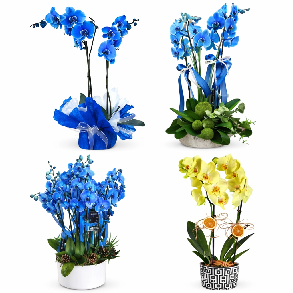 Kesme Çiçek Türleri ve Anlamları | Bodrum Çiçek Siparişi Rehberi