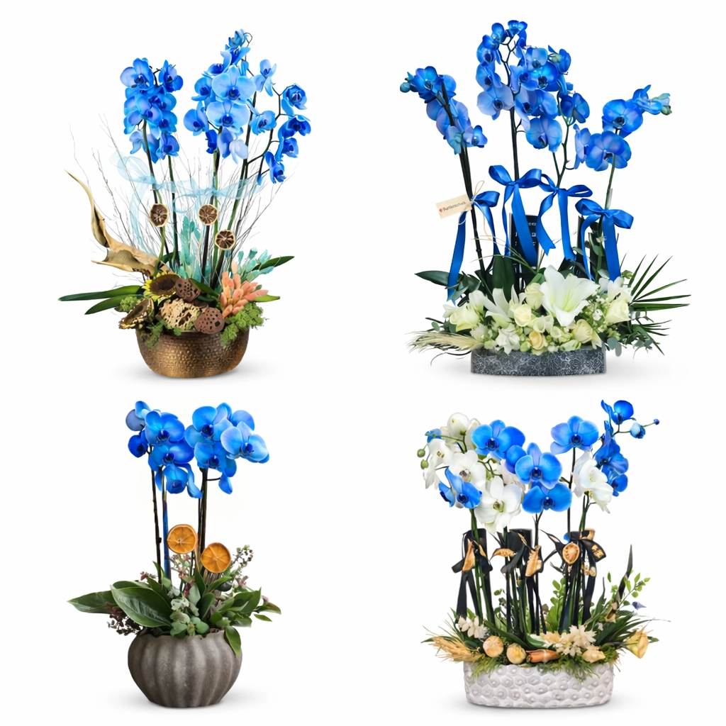 Виды срезанных цветов и их значение | Гид по заказу цветов в Бодруме