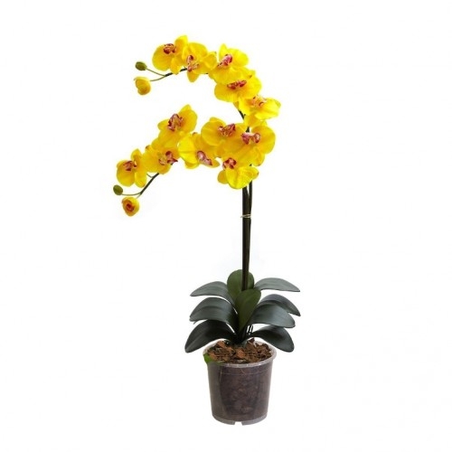 Craftsman'dan Tek Dal Sarı Orkide